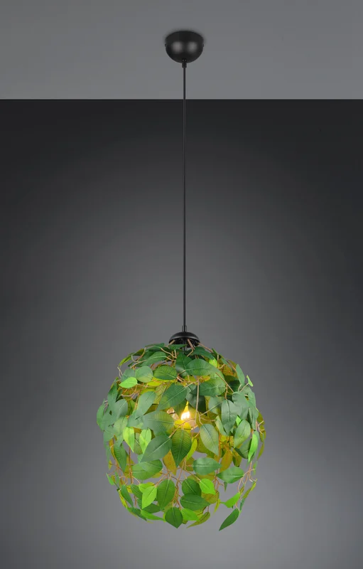 braun-moebel1161762
