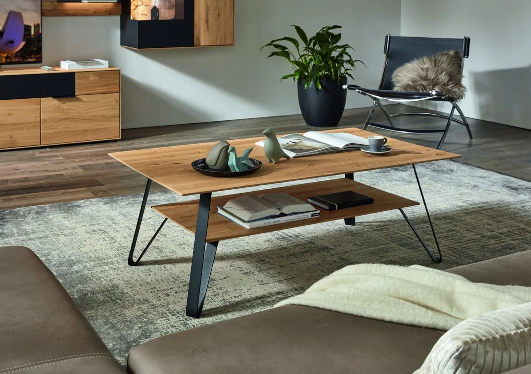 braun-moebel1284604